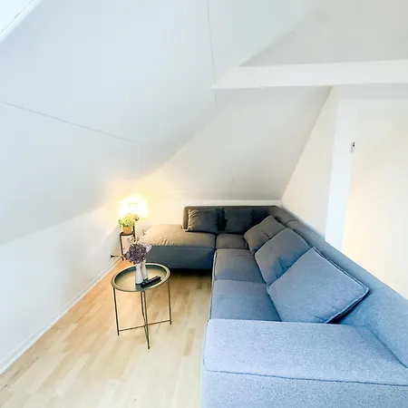 公寓 Spacious And Modern House Close To Center *