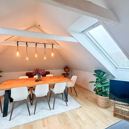 公寓 Spacious And Modern House Close To Center *